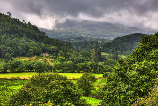 Обои картинки фото сноудония англия, природа, пейзажи, холмы, леса, горы, англия, сноудония, парк, трава, деревья