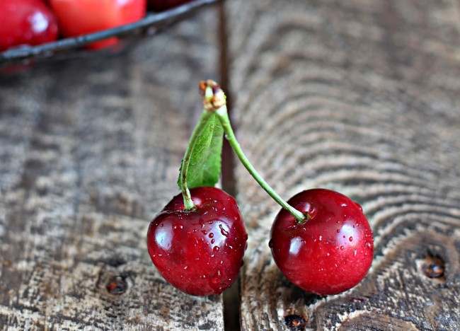 Обои картинки фото еда, вишня,  черешня