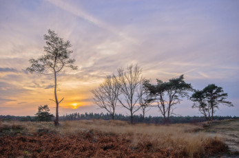 Картинка природа восходы закаты рассвет