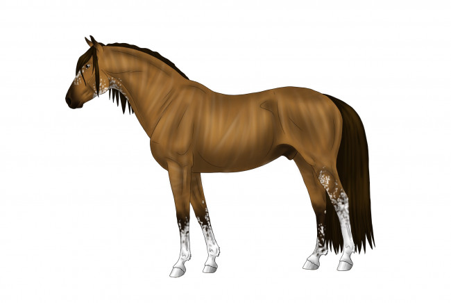 Обои картинки фото рисованное, животные,  лошади, лошадь, фон