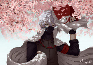 Картинка аниме naruto art сакура цветение hatake kakashi by jellyfishdream rokudaime hokage