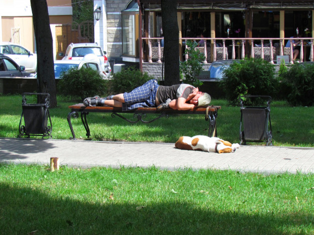 Обои картинки фото юмор и приколы, скамейка, мужчина, собака