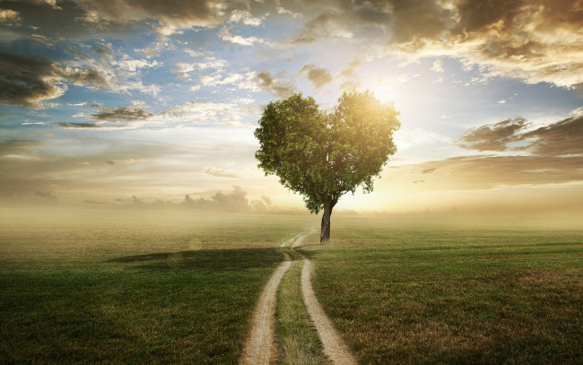 Обои картинки фото разное, компьютерный дизайн, поле, небо, трава, любовь, дерево, сердце, love, field, landscape, heart, beautiful, tree, romantic