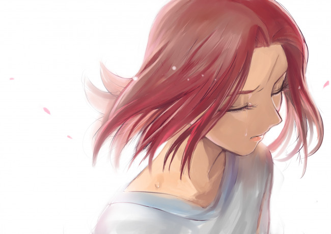 Обои картинки фото аниме, inazuma eleven, hera, tadashi