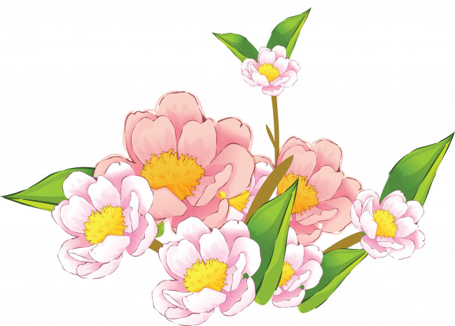 Обои картинки фото векторная графика, цветы , flowers, фон, цветы