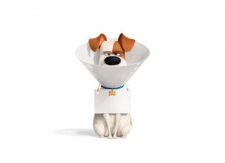 Картинка мультфильмы the+secret+life+of+pets+2 the secret life of pets 2