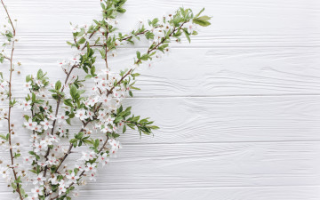 Картинка цветы цветущие+деревья+ +кустарники ветки