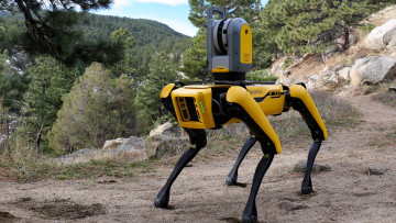 обоя компьютеры, -unknown , разное, robot, dog, spot, boston, dynamics, желтый