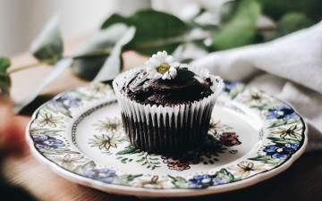 Картинка еда пирожные +кексы +печенье кекс