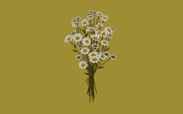 Картинка рисованное цветы ромашки букет