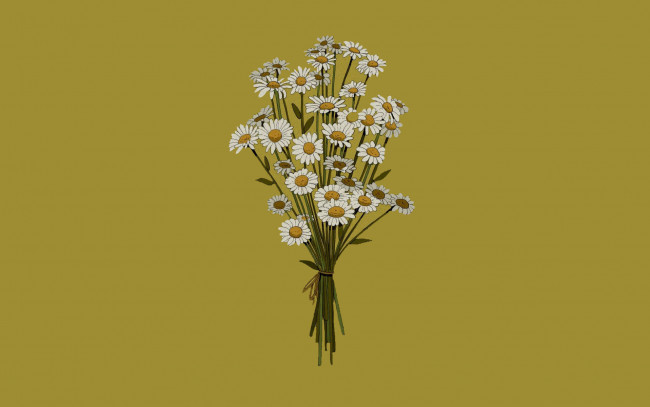 Обои картинки фото рисованное, цветы, ромашки, букет