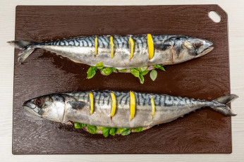 Картинка еда рыба +морепродукты +суши +роллы скумбрия мята лимон