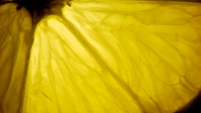 Обои картинки фото еда, цитрусы, макро, долька, лимон