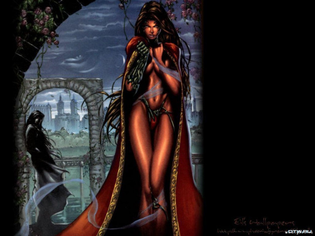 Обои картинки фото witchtblade, рисованные, люди