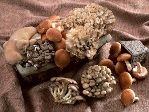 Картинка еда грибы грибные блюда