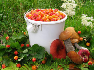 Картинка еда натюрморт