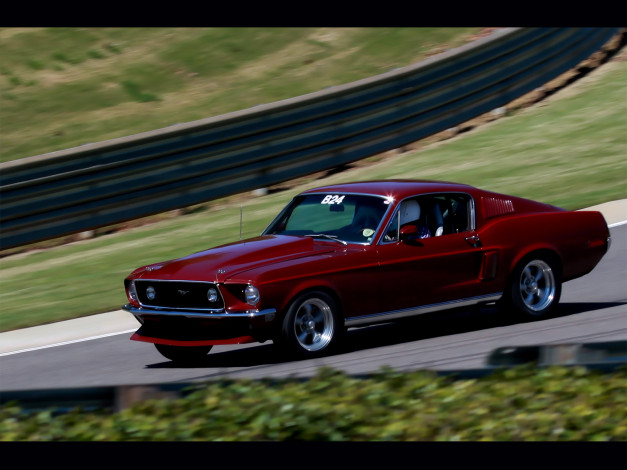 Обои картинки фото автомобили, ford