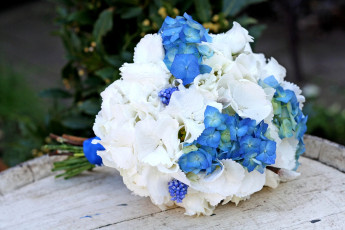 Картинка цветы букеты композиции гиацинт мускари гортензия