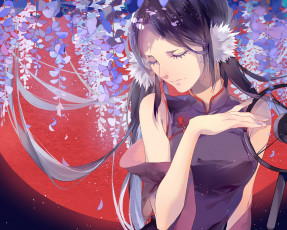 Картинка аниме *unknown+ другое арт микрофон луна цветы девушка dj adonis