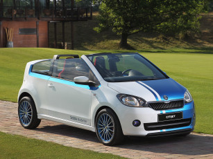 Картинка автомобили skoda 2014г citijet