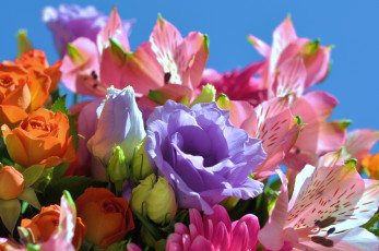 Картинка цветы разные+вместе альстромерия розы эустома