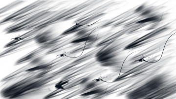 Картинка 3д+графика текстуры+ +textures серый