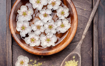 Картинка цветы миска коробочка морская соль ложка