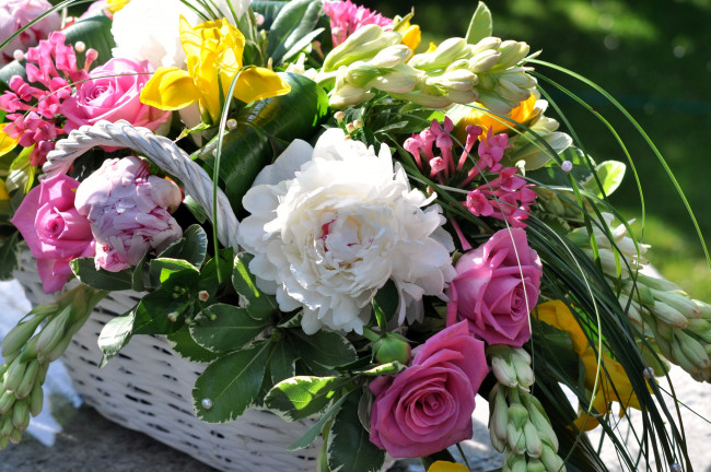 Обои картинки фото цветы, разные вместе, ирис, розы, пионы