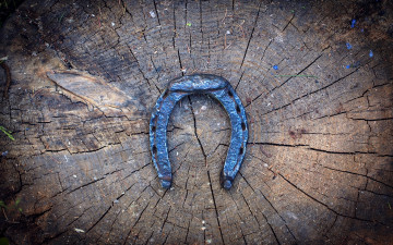 Картинка разное текстуры подкова счастье фон