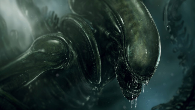 Обои картинки фото фэнтези, Чужой , alien, чужой, монстр, чущество, чудовище