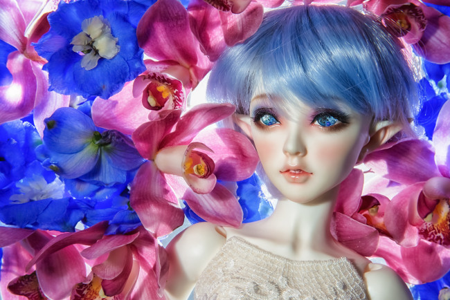 Обои картинки фото разное, игрушки, игрушка, кукла, эльф, цветы, орхидеи