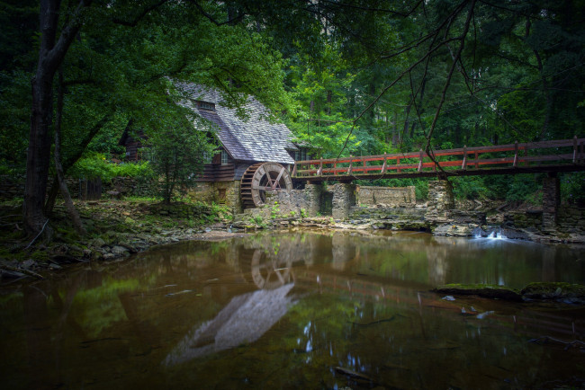 Обои картинки фото разное, мельницы, лес, река, мельня