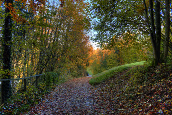 Картинка природа дороги тракт