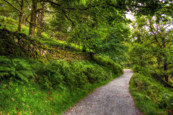 Картинка природа дороги тракт