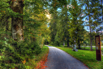 Картинка природа дороги тракт