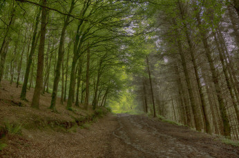 Картинка природа дороги тракт