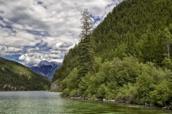 Картинка природа реки озера река лес