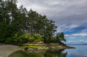 Картинка природа реки озера река лес