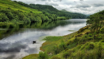 Картинка природа реки озера река лес