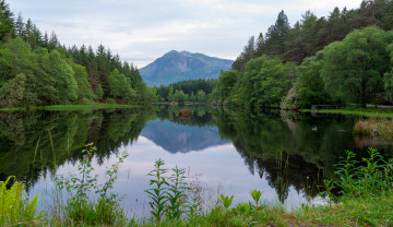 Картинка природа реки озера лес река