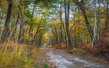 Картинка природа дороги тракт