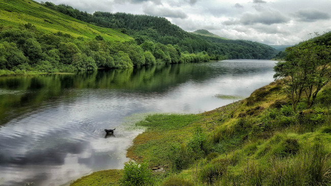 Обои картинки фото природа, реки, озера, река, лес