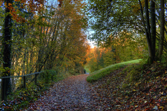 Обои картинки фото природа, дороги, тракт