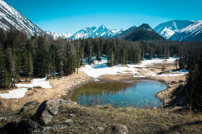 Обои картинки фото природа, реки, озера, лес, река