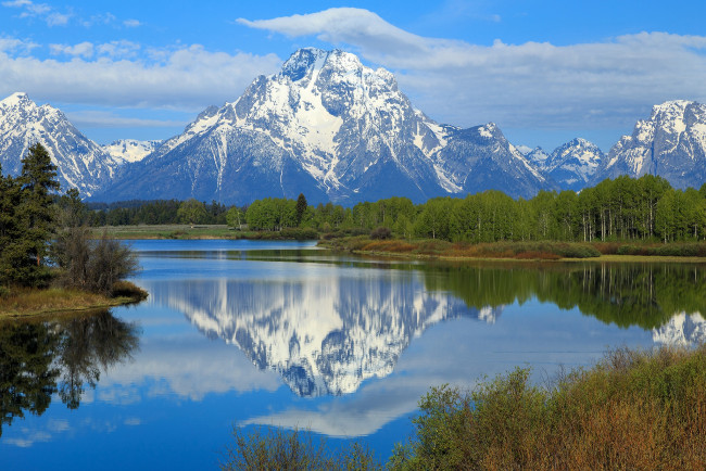 Обои картинки фото природа, реки, озера, река, лес