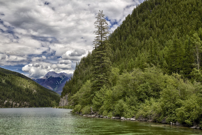 Обои картинки фото природа, реки, озера, река, лес