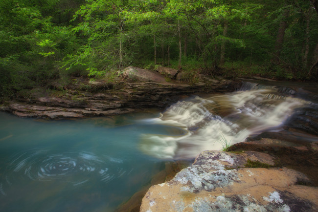 Обои картинки фото природа, реки, озера, река, лес