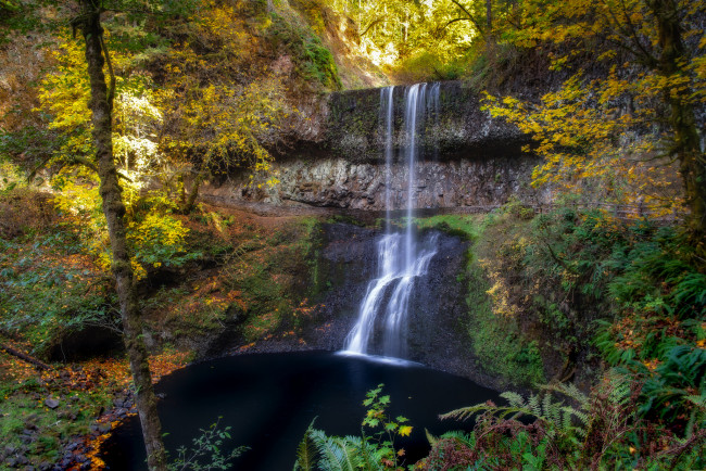 Обои картинки фото природа, водопады, лес, река, водопад