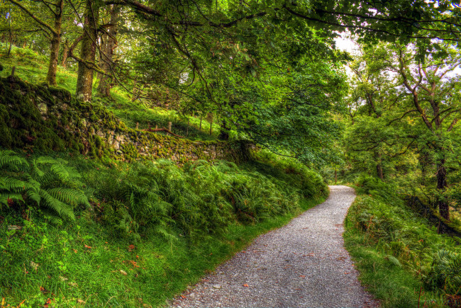 Обои картинки фото природа, дороги, тракт