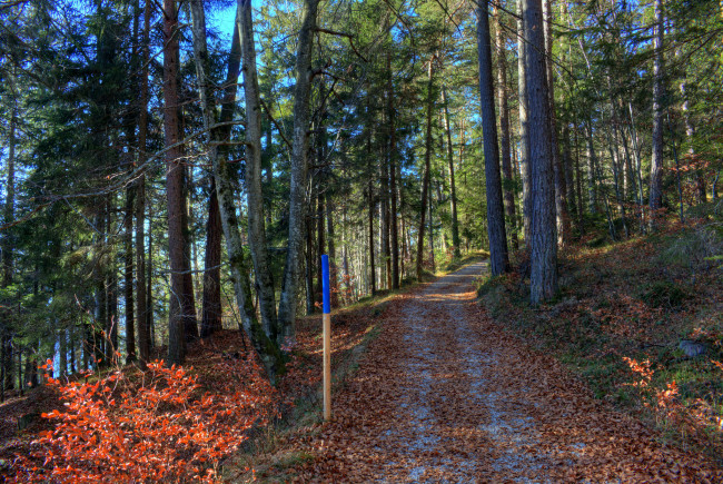 Обои картинки фото природа, дороги, тракт